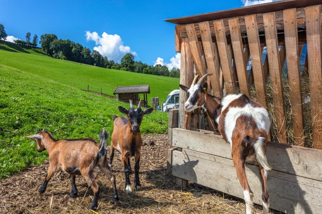 Apartamento Biobauernhof Stegerbauer Maria Alm am Steinernen Meer Exterior foto
