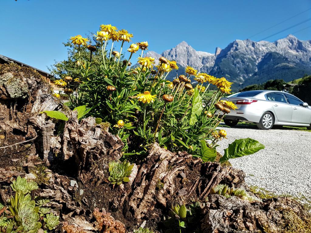 Apartamento Biobauernhof Stegerbauer Maria Alm am Steinernen Meer Exterior foto