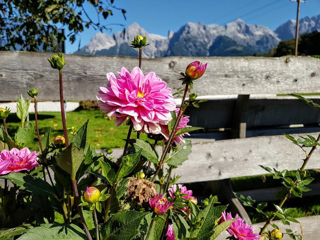 Apartamento Biobauernhof Stegerbauer Maria Alm am Steinernen Meer Exterior foto
