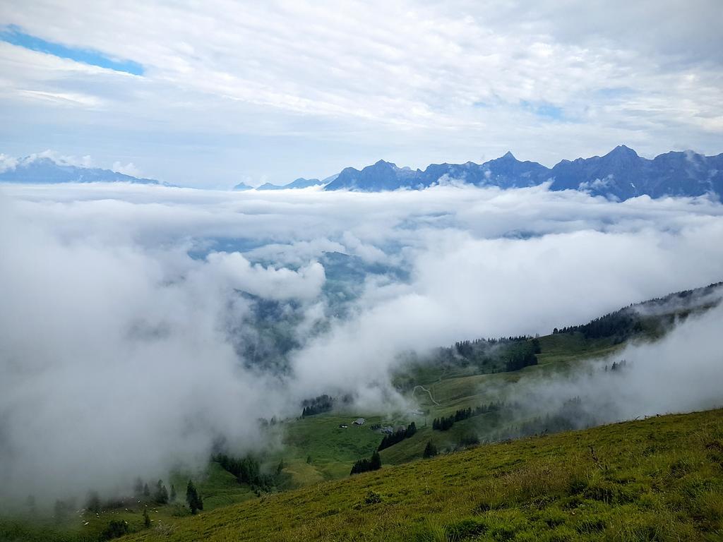 Apartamento Biobauernhof Stegerbauer Maria Alm am Steinernen Meer Exterior foto