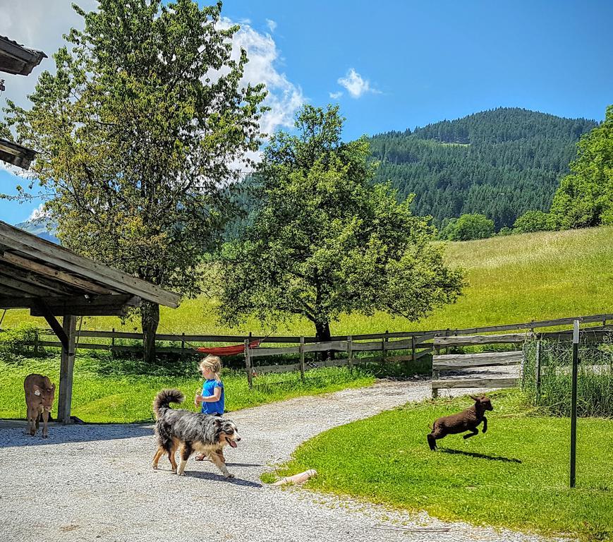 Apartamento Biobauernhof Stegerbauer Maria Alm am Steinernen Meer Exterior foto