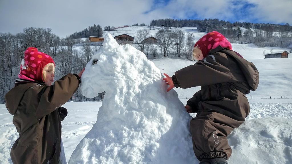 Apartamento Biobauernhof Stegerbauer Maria Alm am Steinernen Meer Exterior foto
